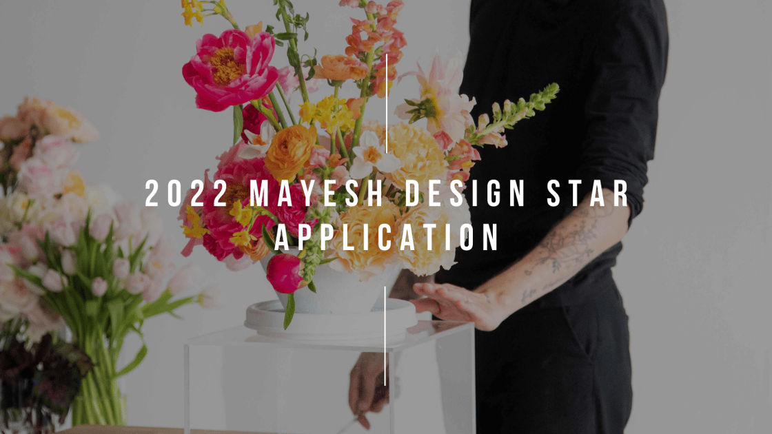 Design Star 2022 Application Blog header